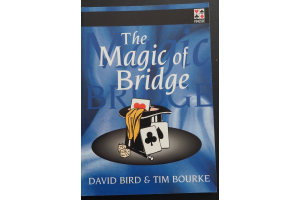 birdbourke-the-magic-of-bridge